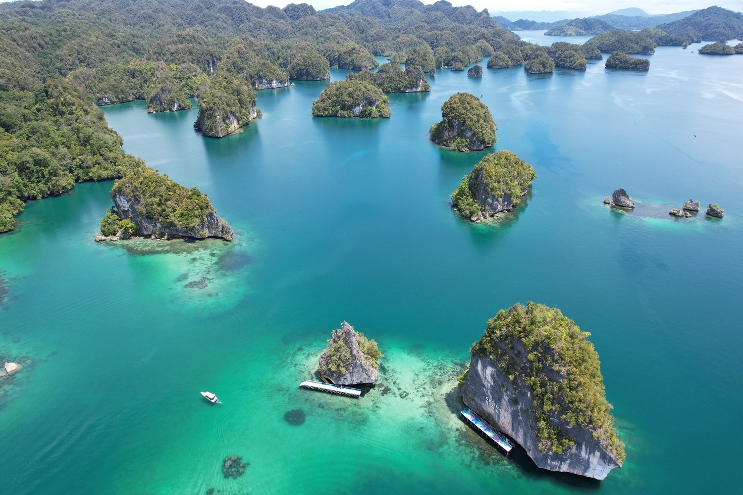 Panduan Lengkap Wisata Raja Ampat untuk Pemula
