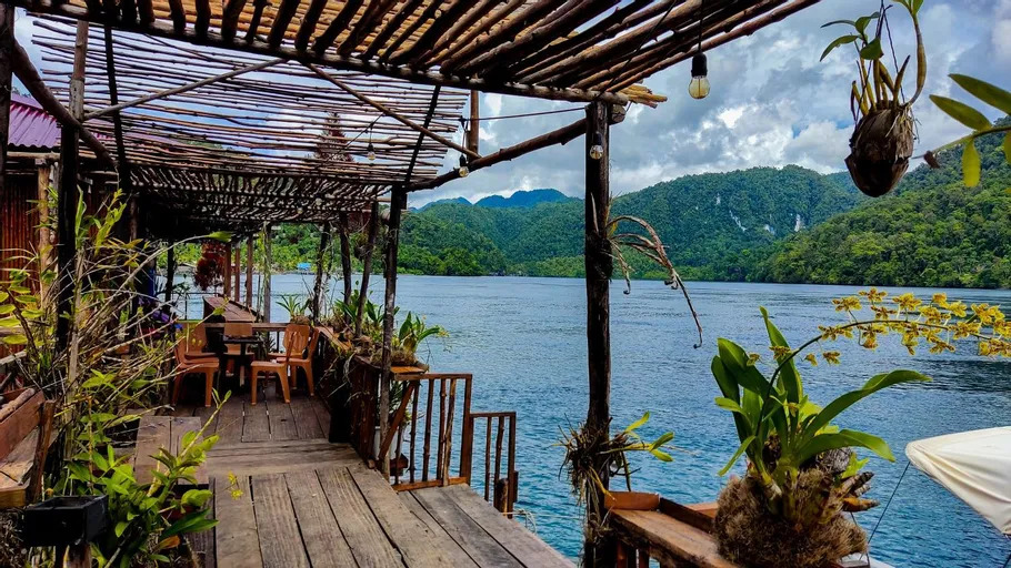 Jetty Mangrove